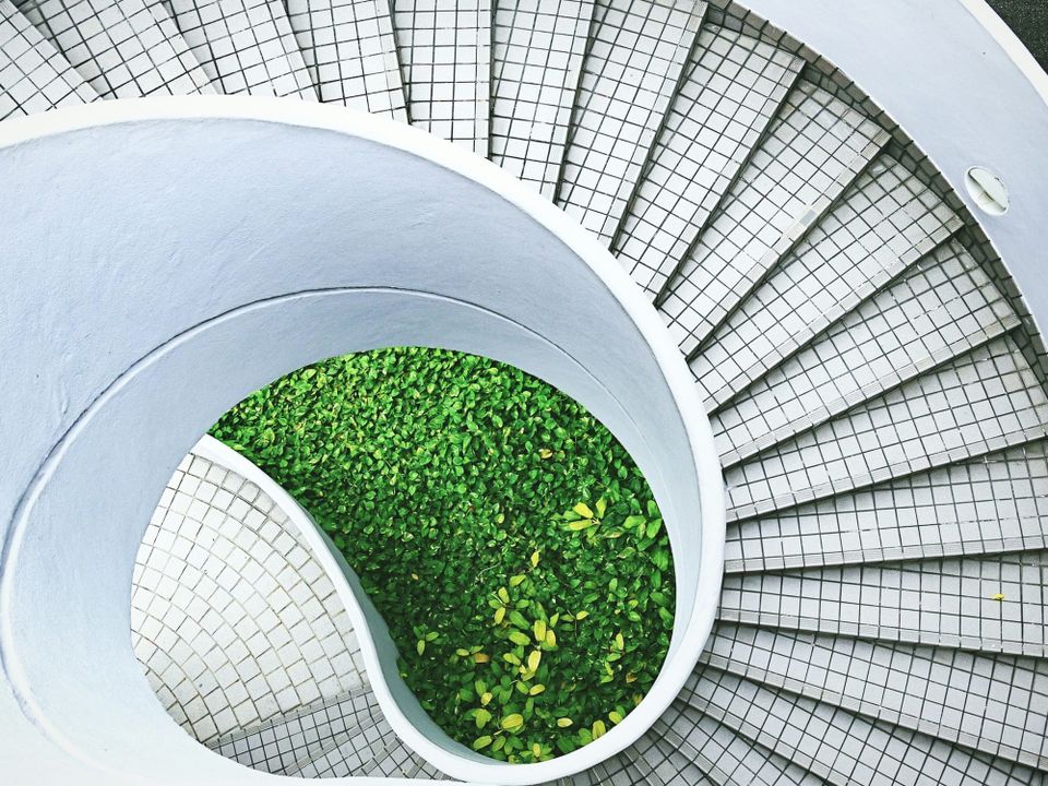 Circularity, supplier engagement and the ‘elephant in the room’ of sustainable procurement