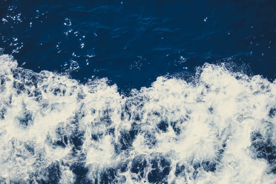 Frontier coalition backs ocean carbon removal solution in US$31mn deal