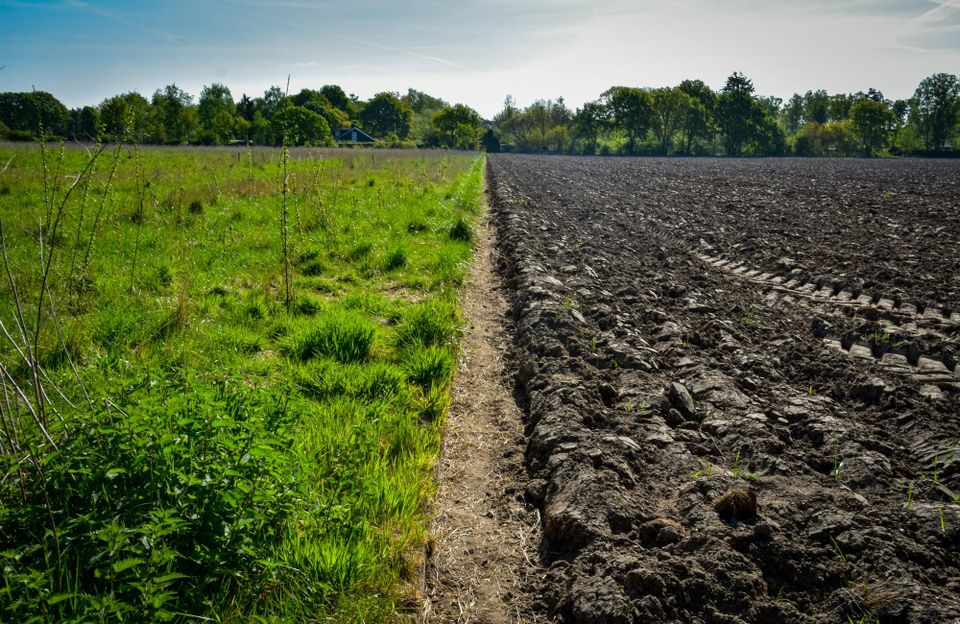 PepsiCo, Unilever and others launch collaboration to scale up regenerative agriculture