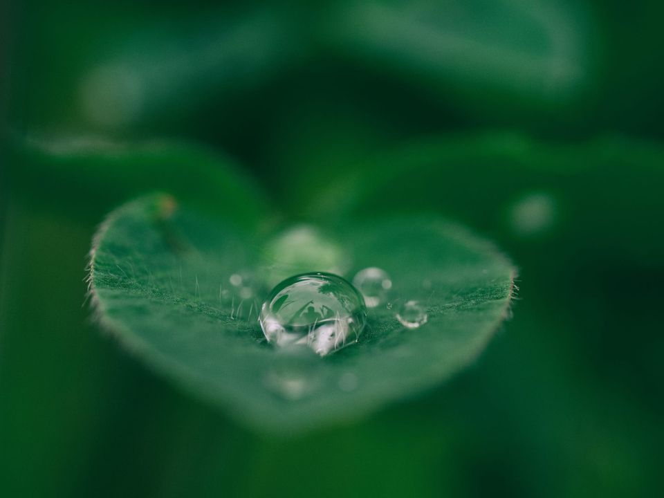 TNFD releases guide on integrating nature in climate transition plans