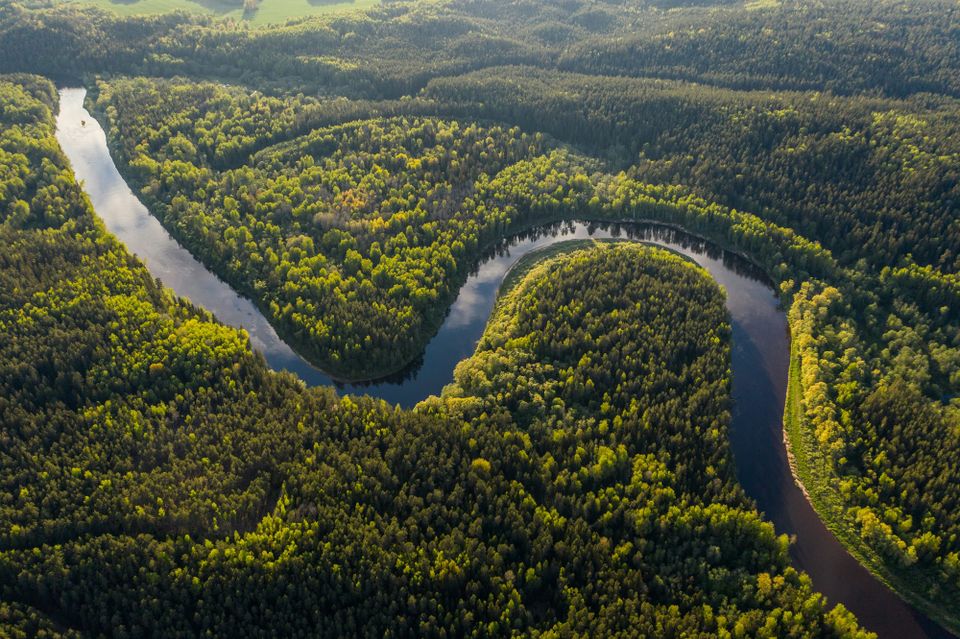 Coalition launched to scale up jurisdictional forest carbon credits