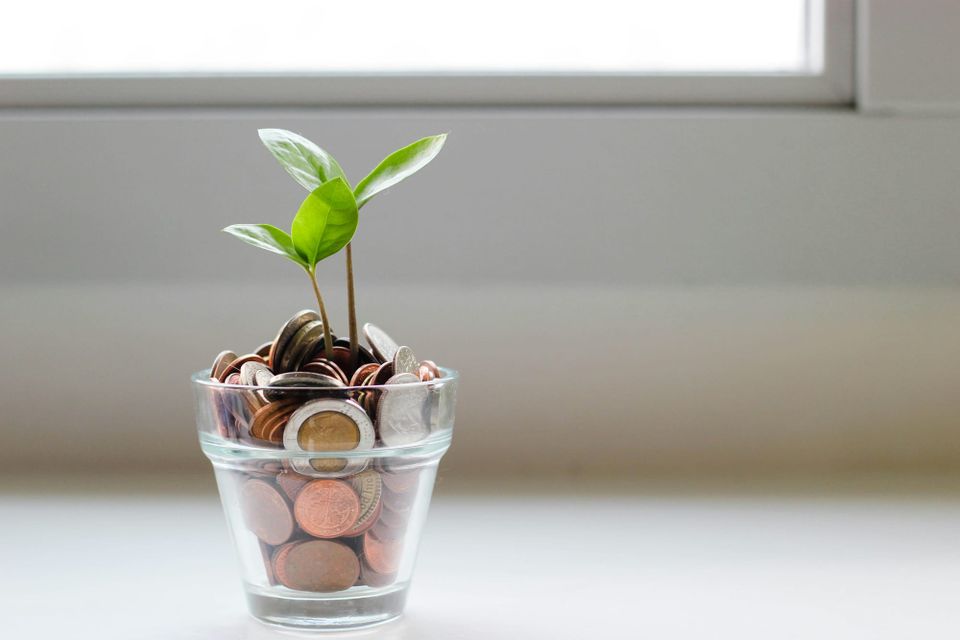 Decarbonisation initiatives saved companies US$54 billion in 2024 - CDP