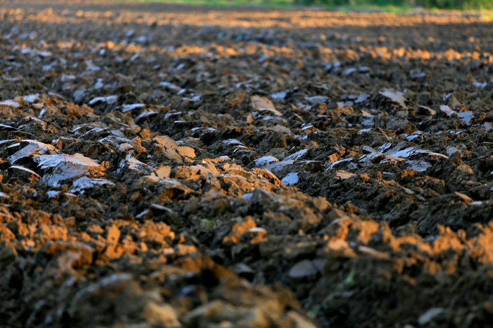 Frontier coalition sign US$44mn carbon removal deal with biowaste firm NULIFE