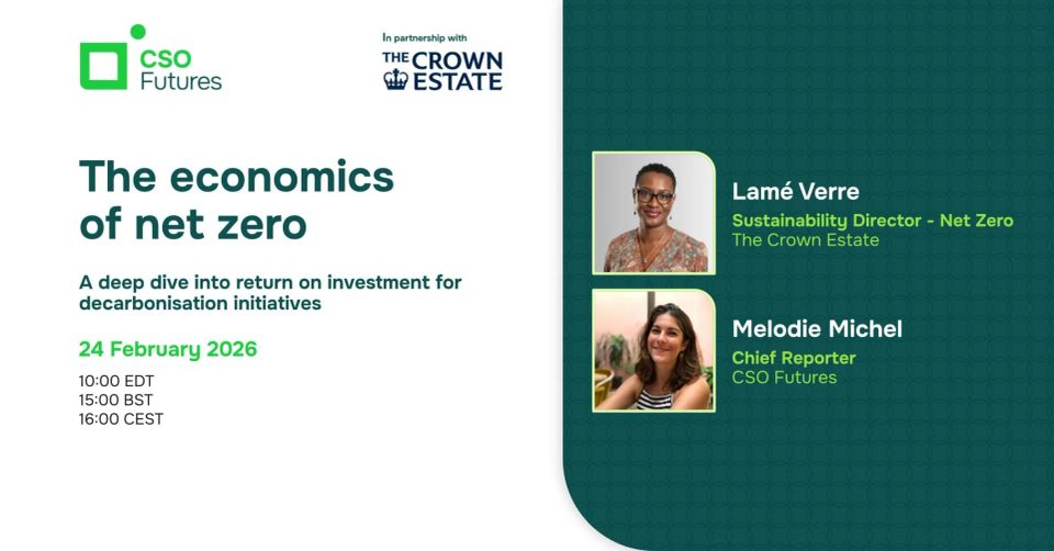 The economics of net zero