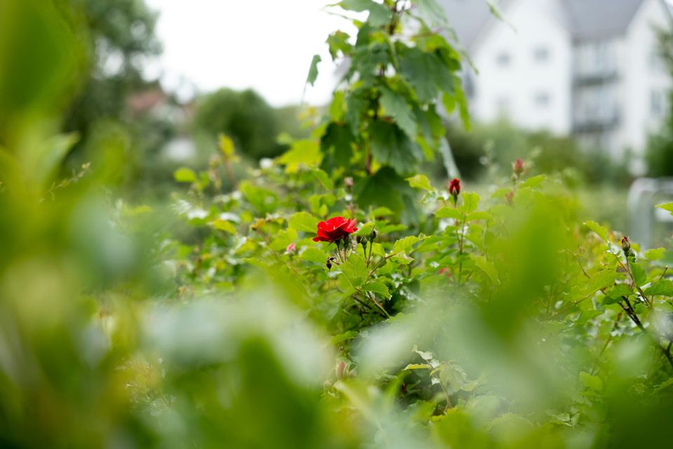 Report highlights financial value unlocked by companies embedding climate and nature