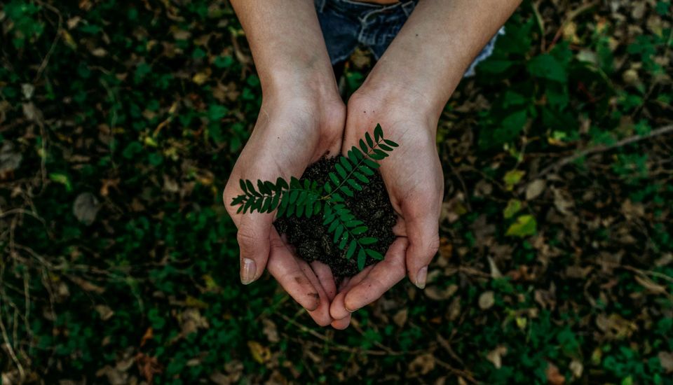 Multinational CSOs say sustainability suffers from ‘chronic underinvestment’