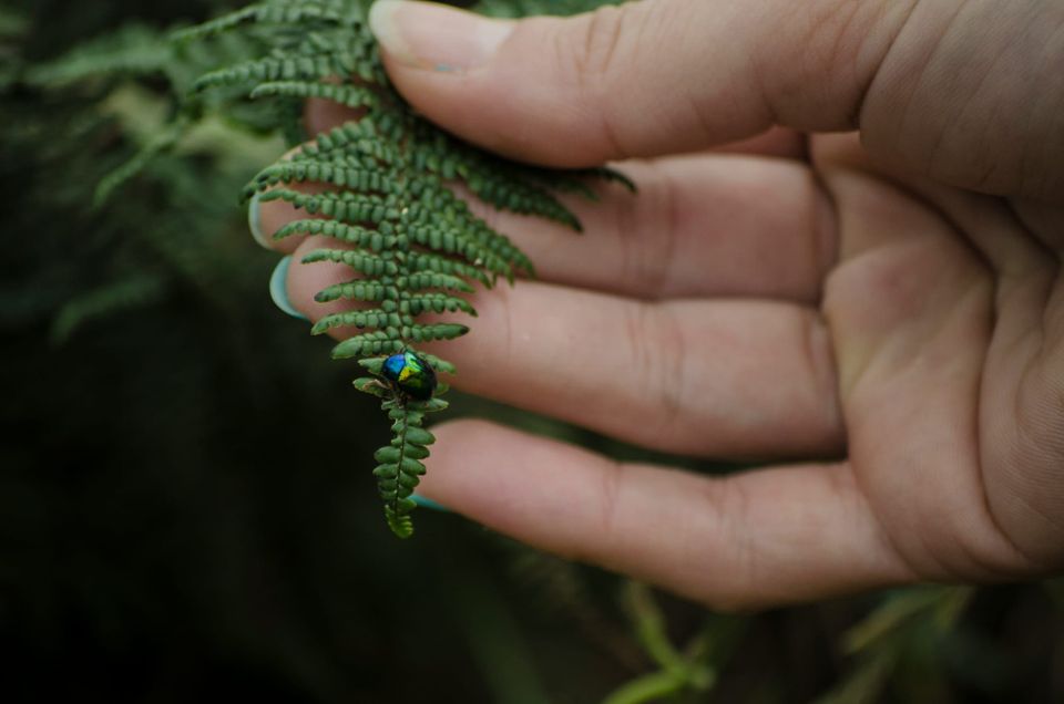 Businesses lack incentives to act for nature – but must transform or face extinction