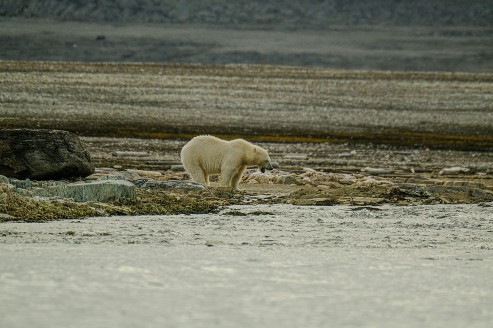 ‘Climate chaos is accelerating’: WMO report warns of growing interconnected climate impacts