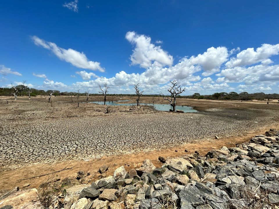 Water stress pushes power sector towards new cooling technologies