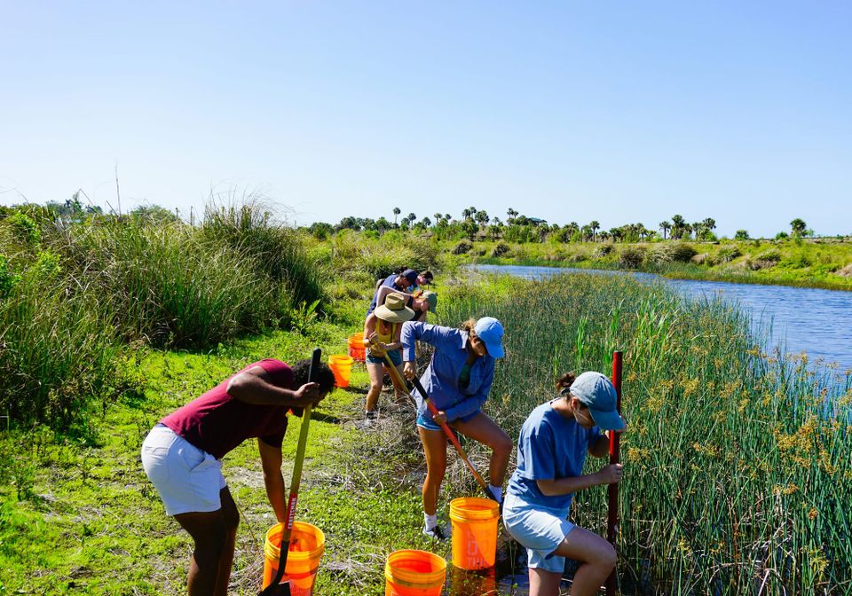 Ecologi launches nature restoration assessment framework