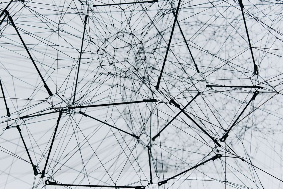 CDP launches AI-powered disclosure tool to cut reporting time