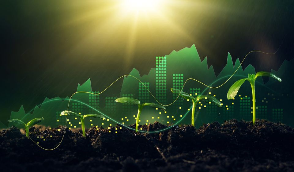 Empowering CSOs and their teams to turn climate risk into return on investment
