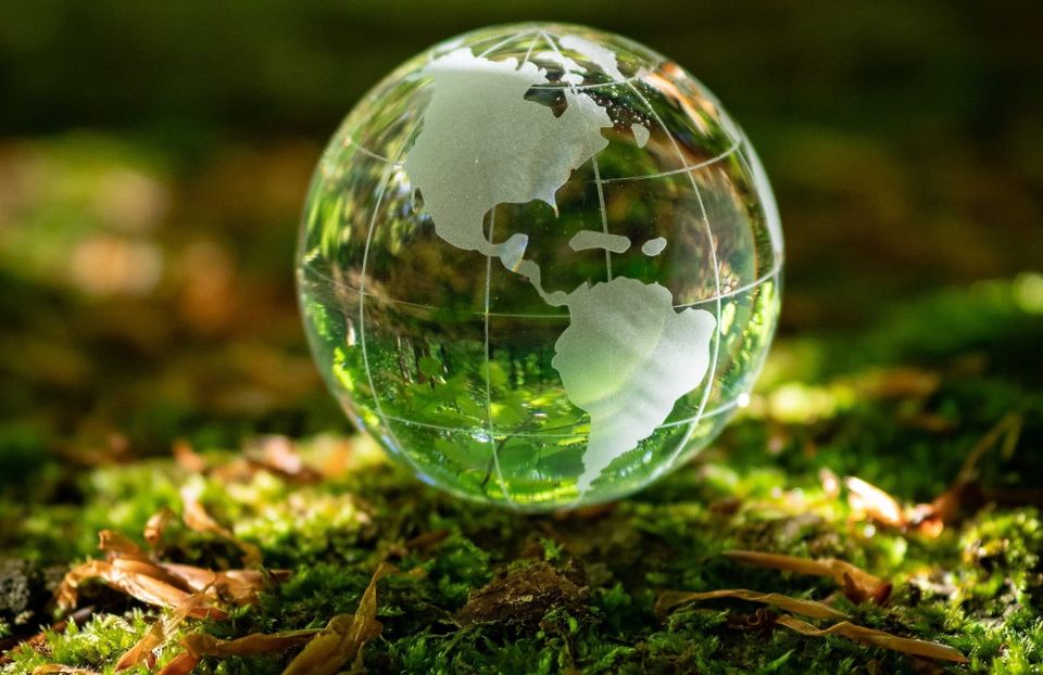 Carbon Trade Exchange launches Exchange API solution