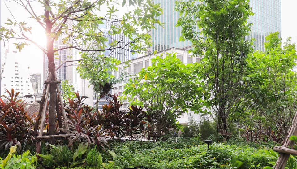 Smart design of urban green space could be an effective, affordable way to reduce city noise