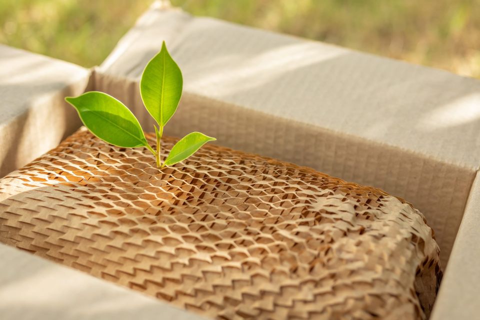 PPWR: high quality recycled fibre should be prioritised over virgin material