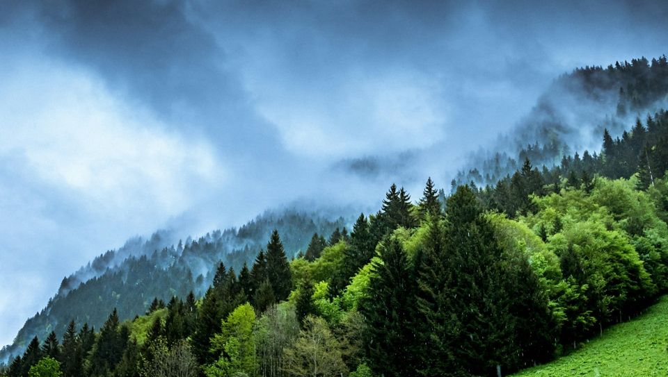 Why climate action now comes down to speed, finance and cooperation