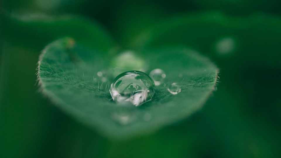 EmpCo directive: credible sustainability claims