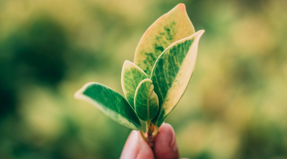 UN Global Compact launches framework to help companies turn commitments into action