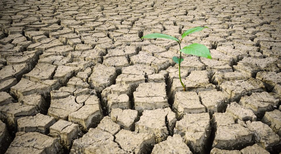 Avoiding a climate catastrophe means acting now, says UN secretary-general