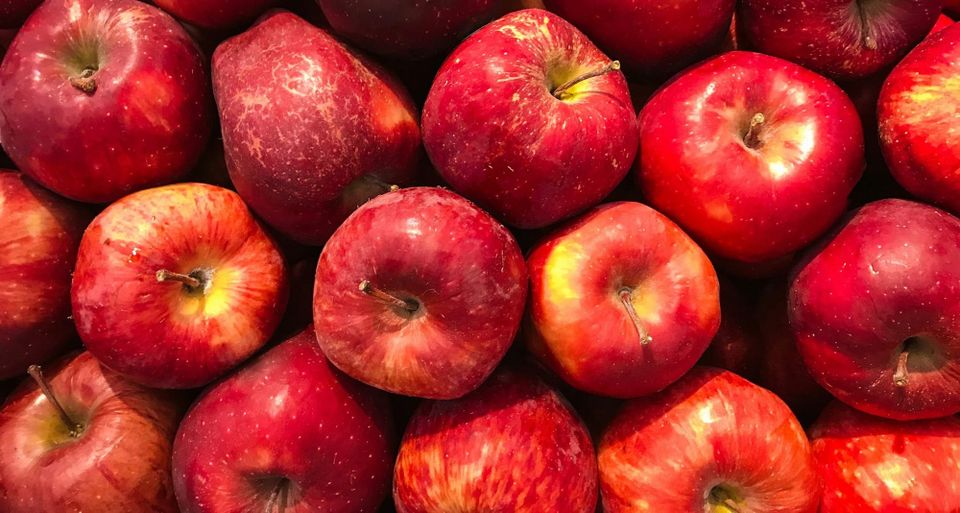 Earthday.org launches ‘Food for Our Planet’ as global Earth Day 2027 theme