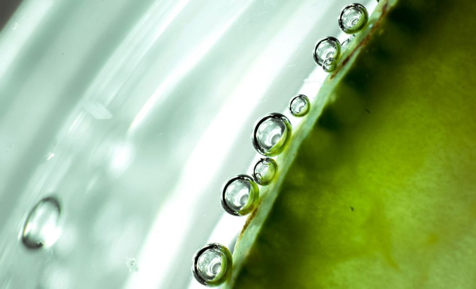 RepRisk reports 28% rise in greenwashing risk as scrutiny shifts toward the energy transition