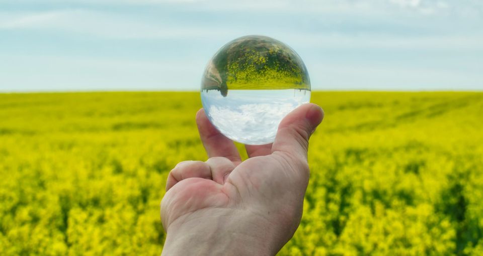 Strategic policy can drive clean and competitive industry