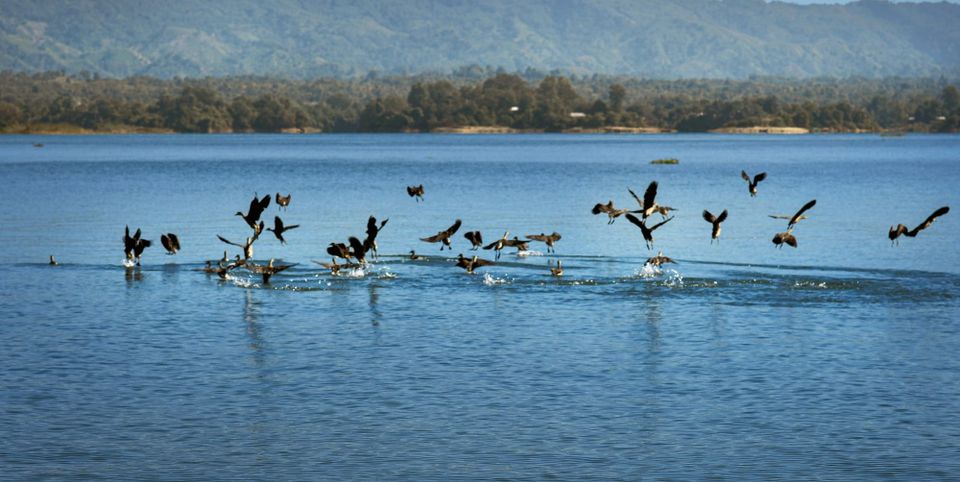 Faster action and financing needed to stop biodiversity loss