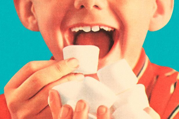 The Marshmallow Test is Wrong