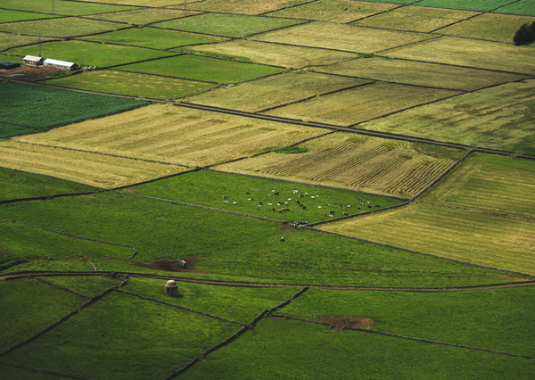 Land Use Framework: From Policy to Decision-Making