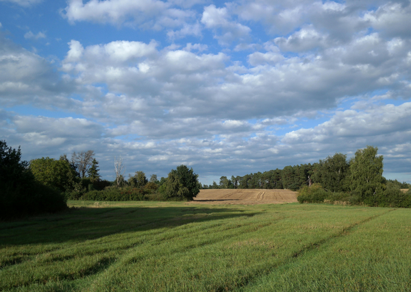 Nutrient Neutrality: From Policy Constraint to Land Use System