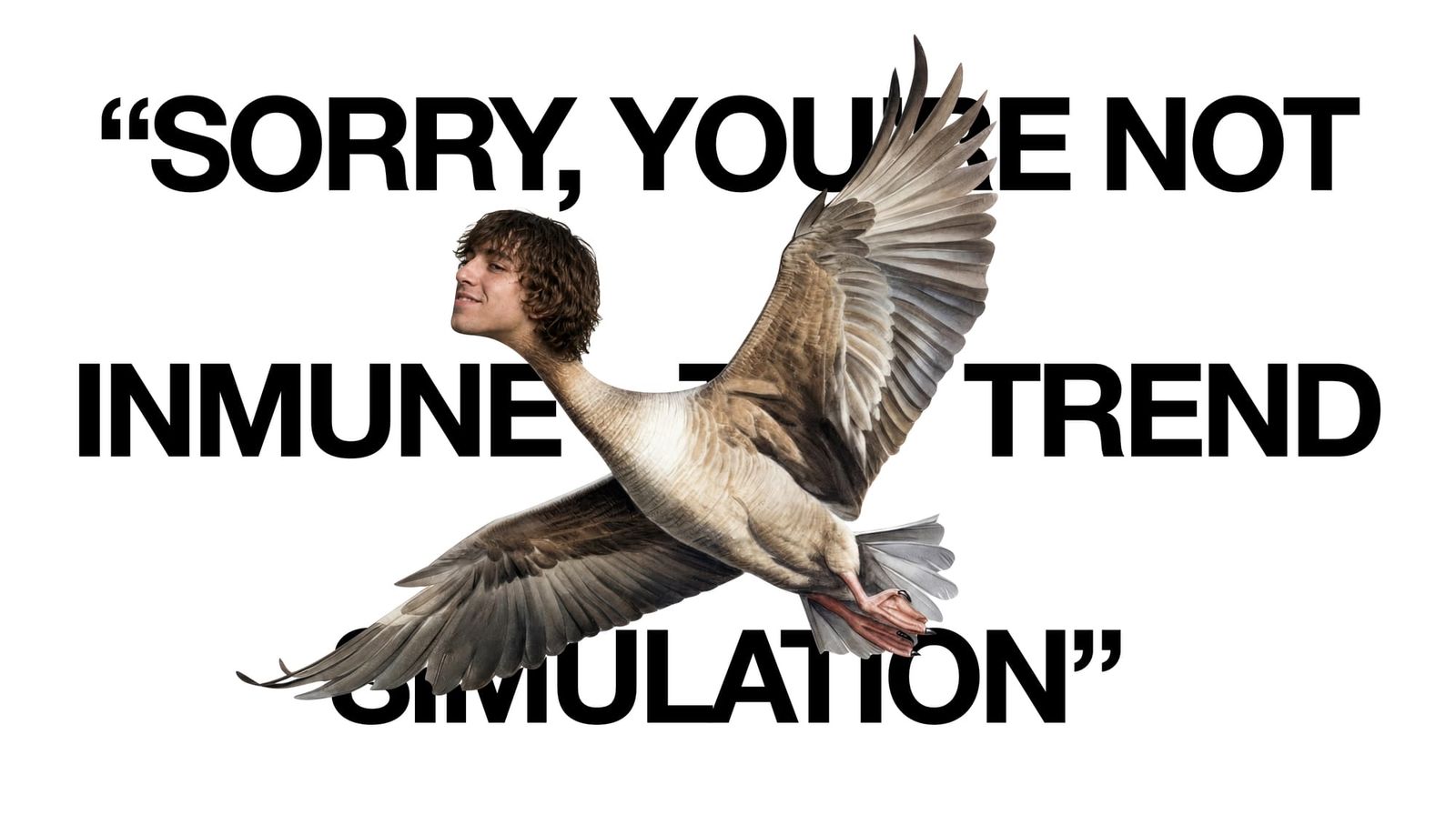 Geese o Chaotic Good son lo de menos; lo que importa aquí es el "contexto sintético"