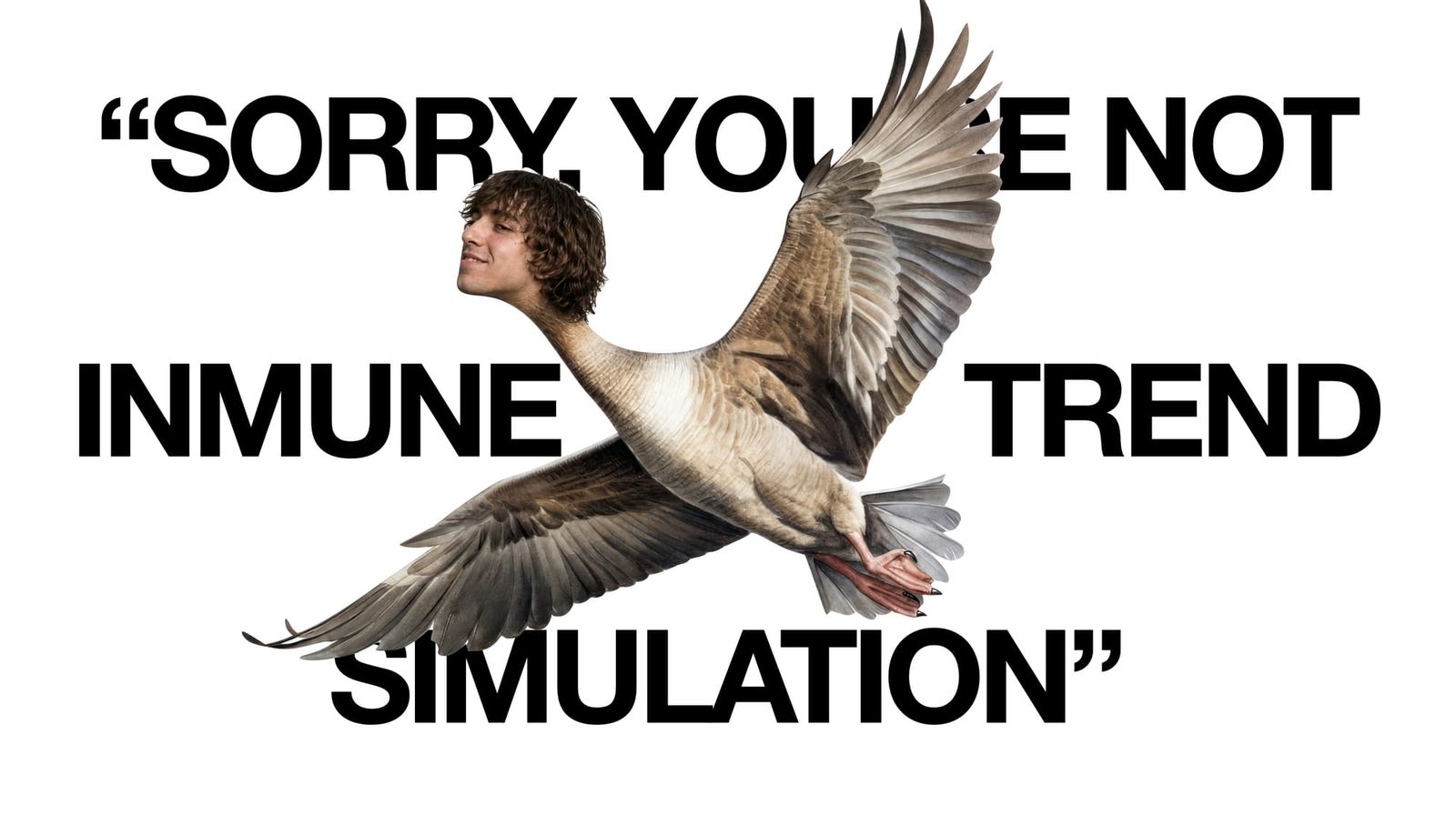 Geese o Chaotic Good son lo de menos; lo que importa aquí es el "contexto sintético"