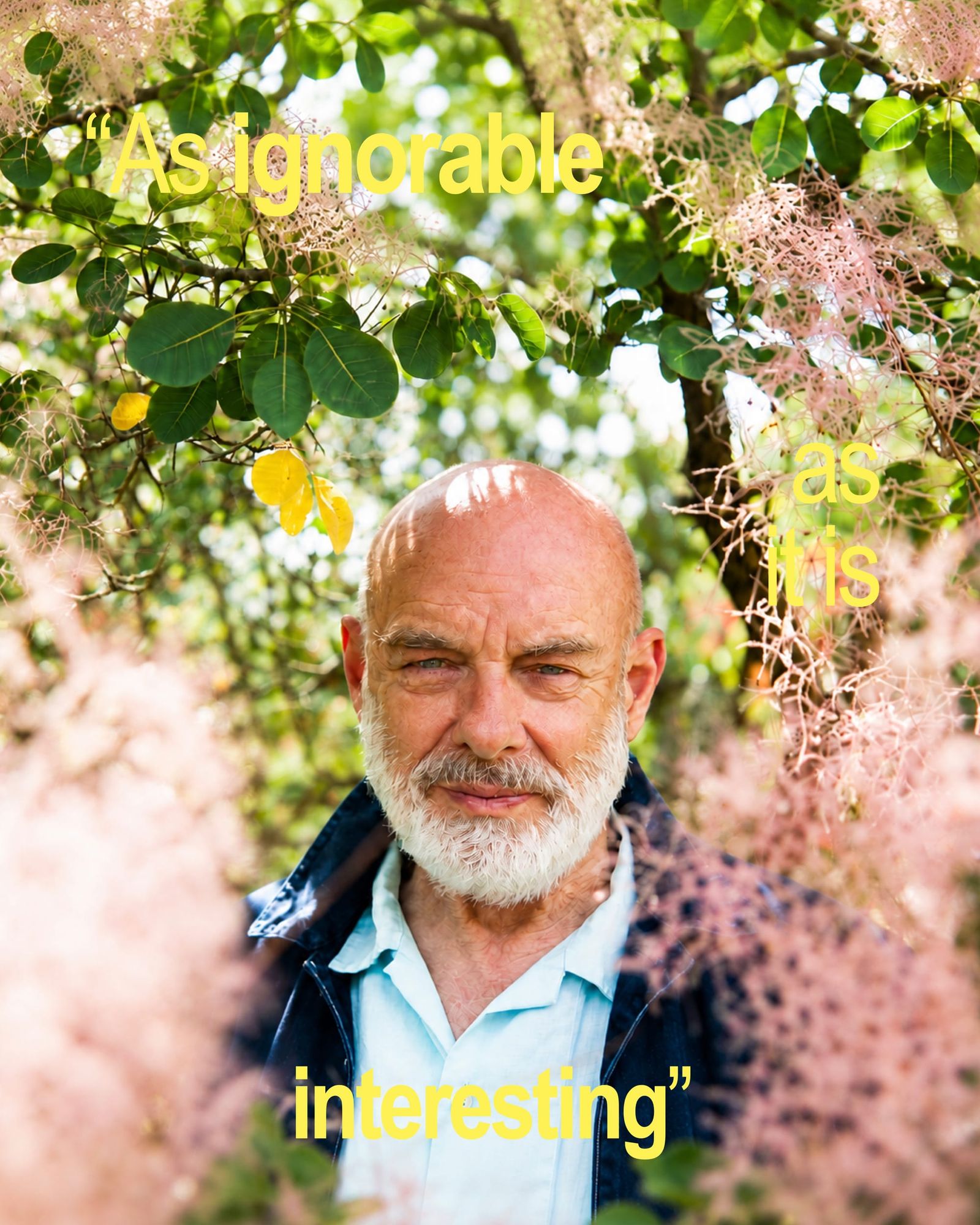 Quitar al artista del centro: una disertación sobre Brian Eno y su "escenio"
