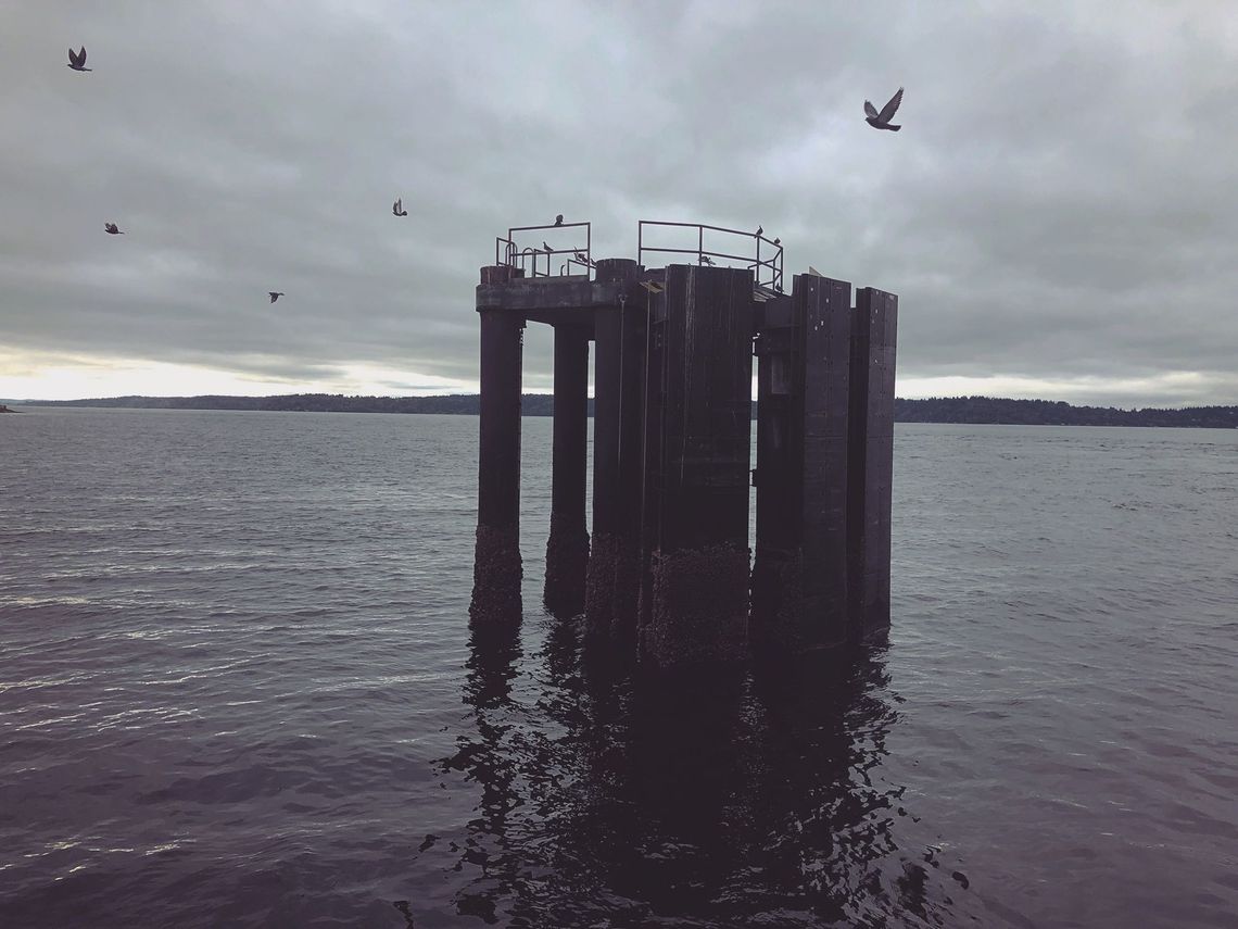 remnant dock on pillars in grey-scale. birds scattered above beyond the old dock. a reflection on slate shine of the water. 