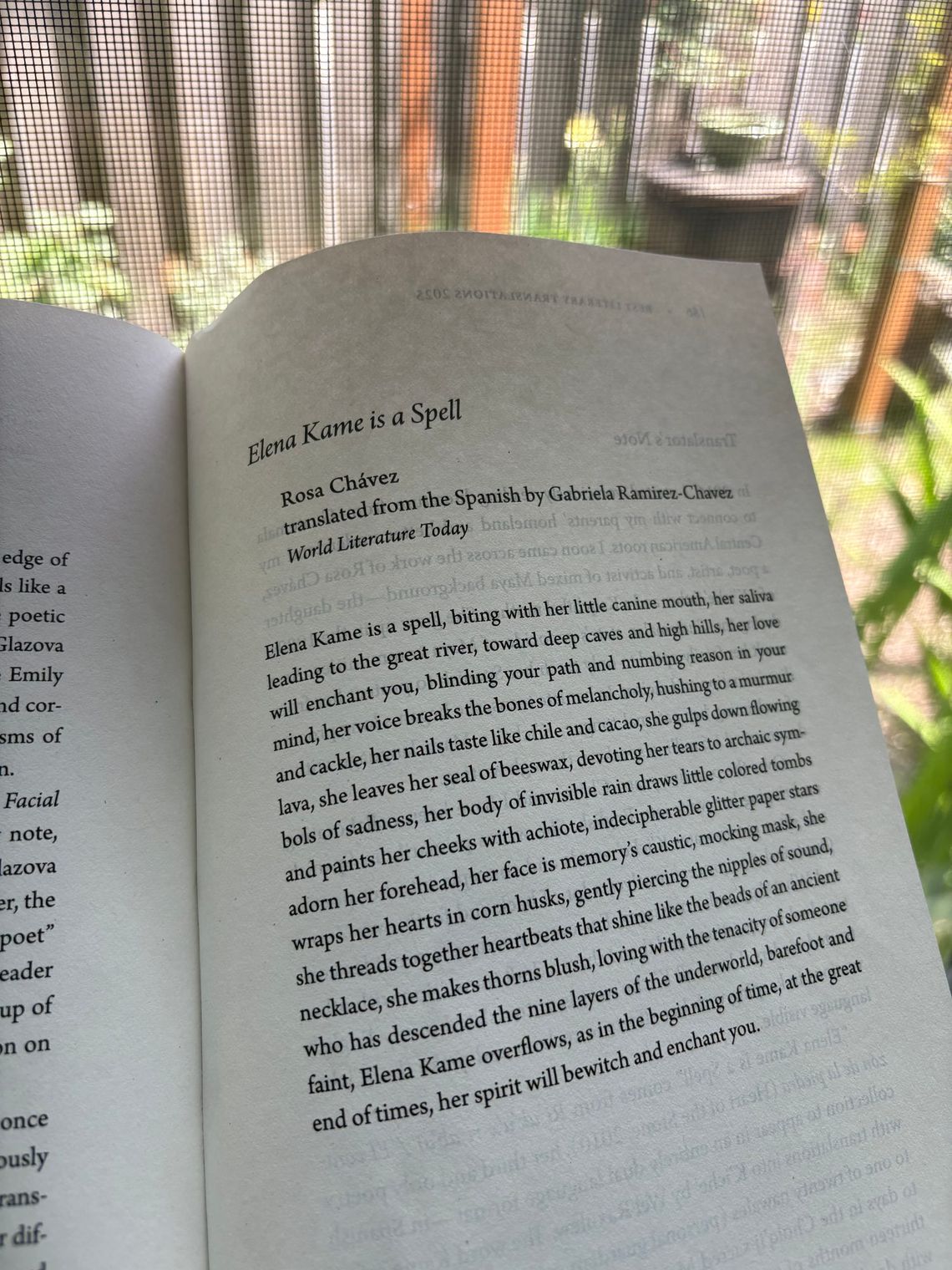 Best Literary Translations 2025