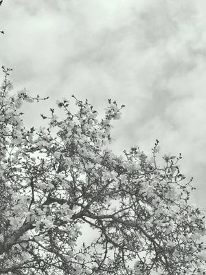 inside edge of the perpetual heartbreak