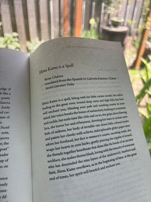 Best Literary Translations 2025