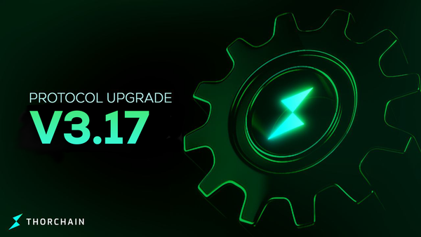 Protocol Upgrade - v3.17.0