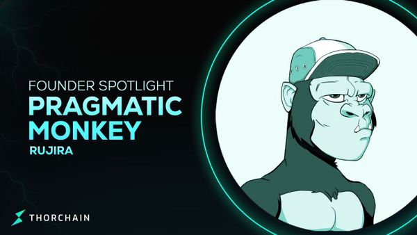 Founder Spotlight - Pragmatic Monkey
