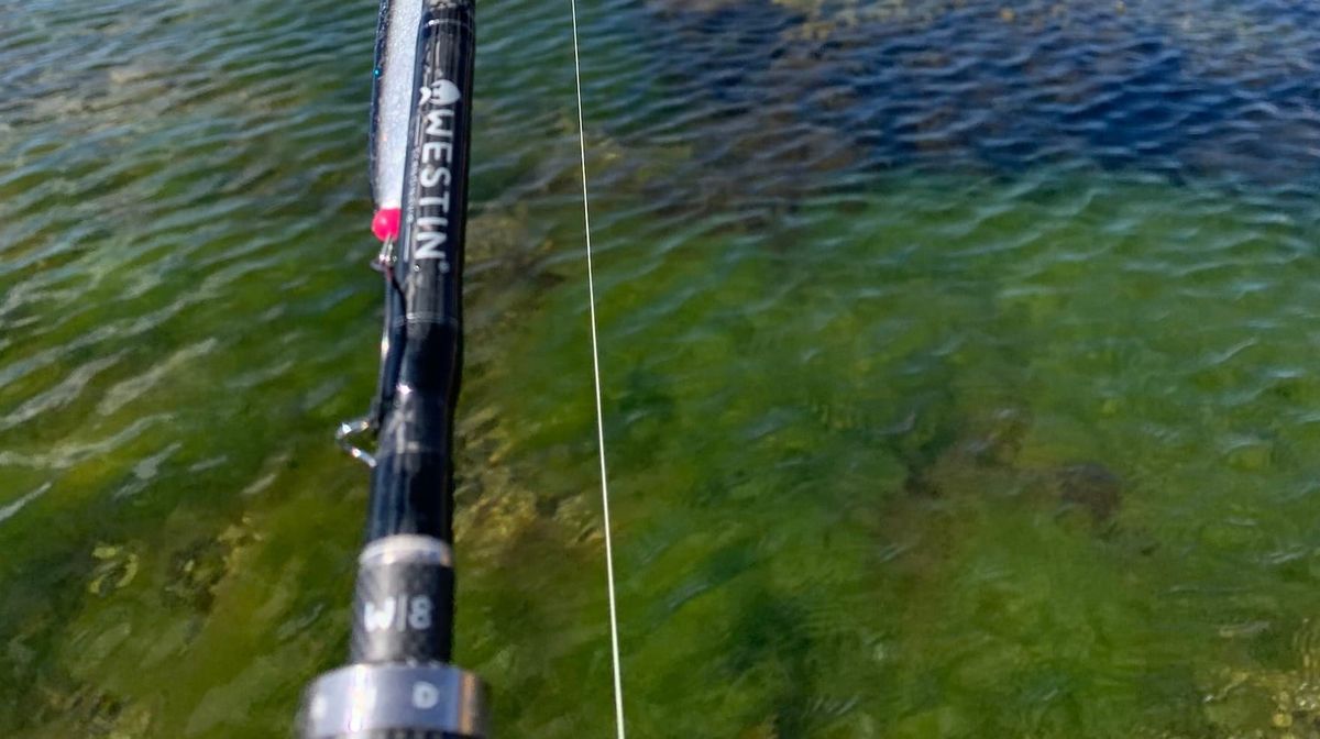 Mit foretrukne fiskesæt til kysten efter havørred