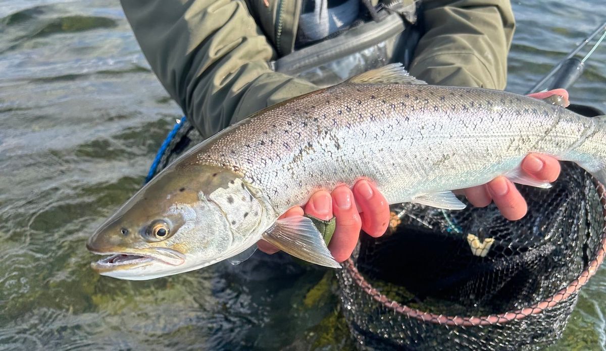 Faldgruber for begyndere i fiskeri – og hvordan du undgår dem