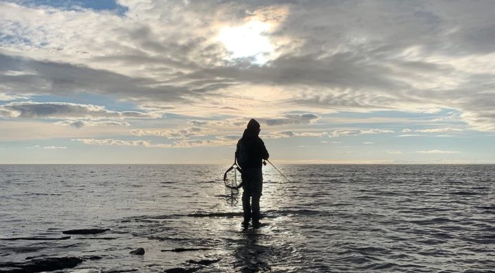 Bedste vadestøvler til lystfiskeri – mine erfaringer fra kysten