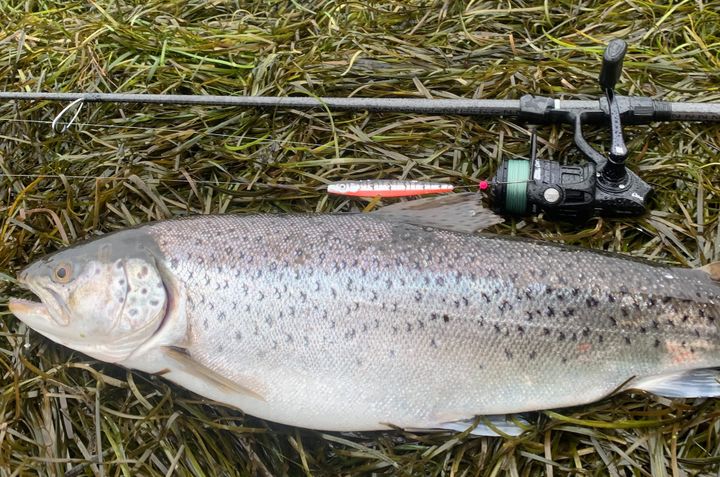 Hvad er UL-fiskeri? – En guide til ultralet fiskeri