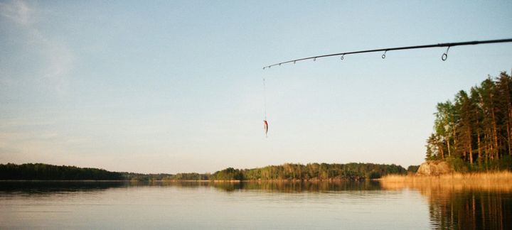 Fisketegn i Danmark – Regler, pris og hvordan du kommer i gang med fiskeri