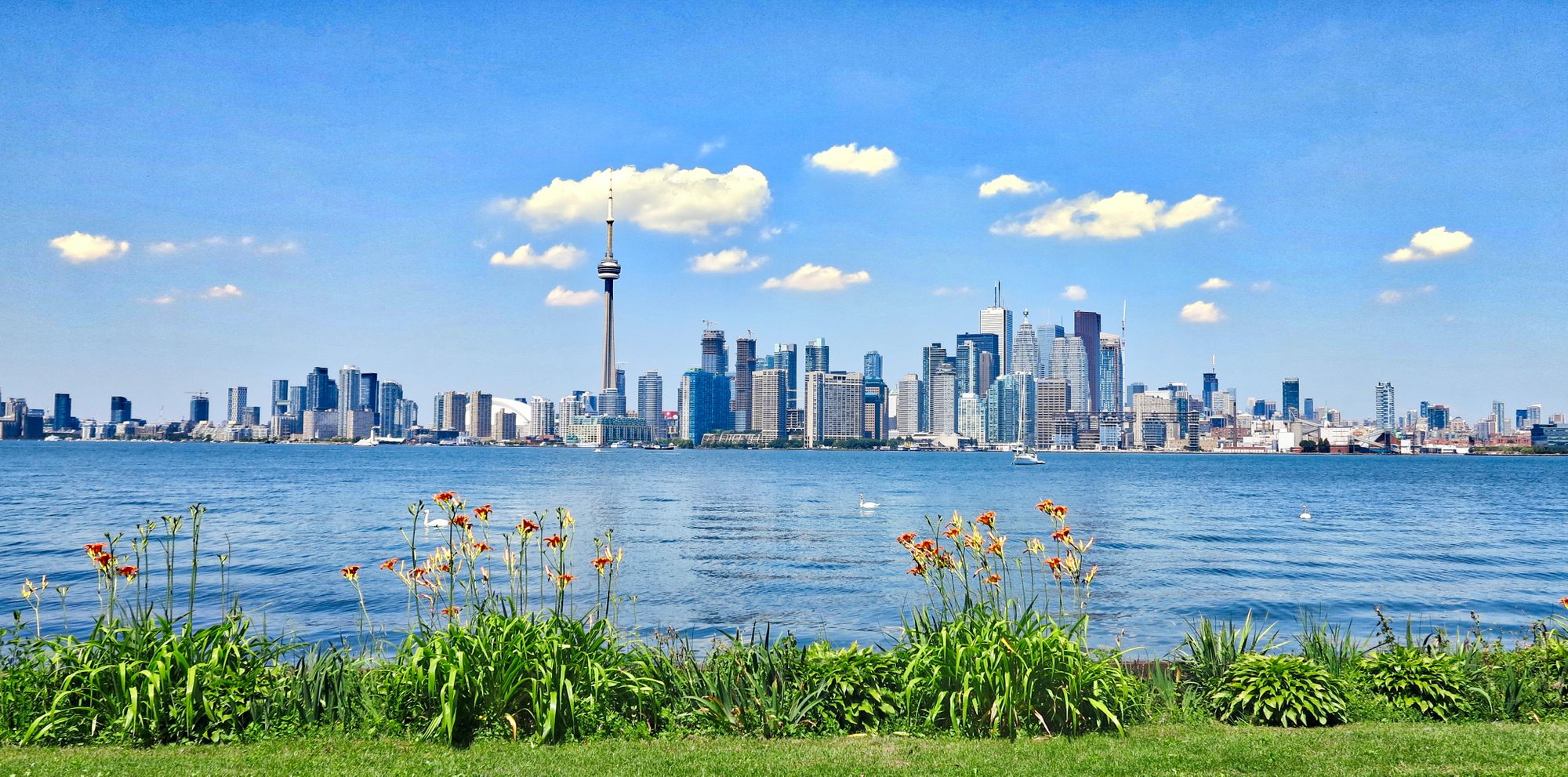 Sauna in Toronto