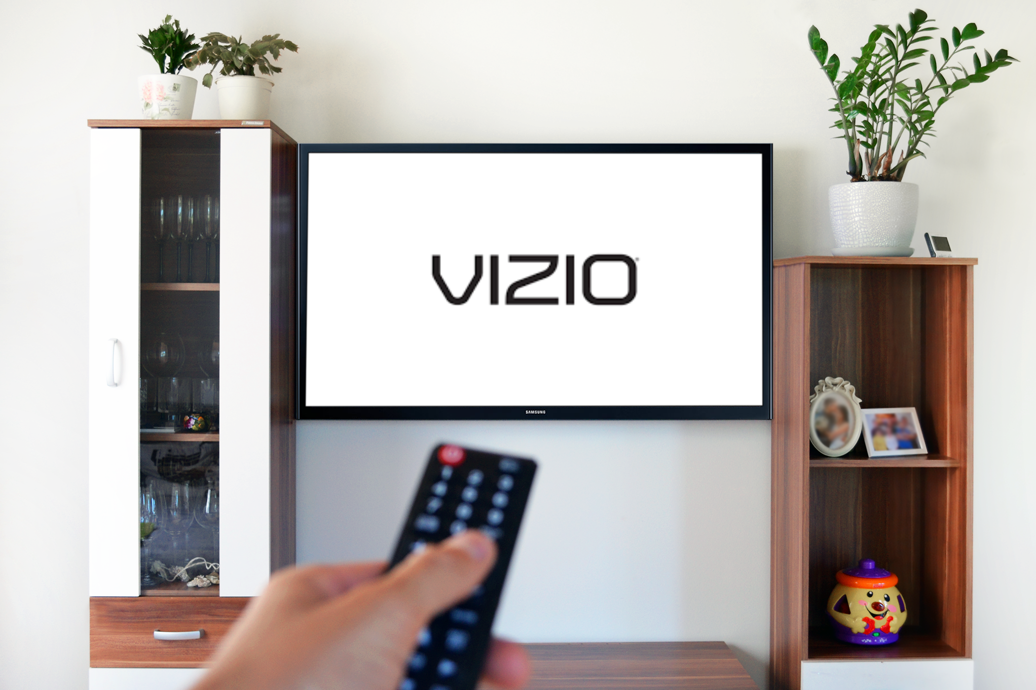 Vizio IPO