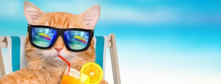 creativejuicemain-min