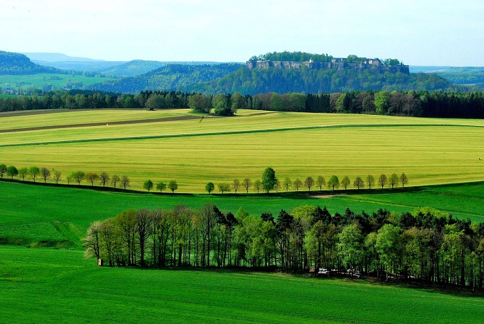 mindfulness prati spazi aperti