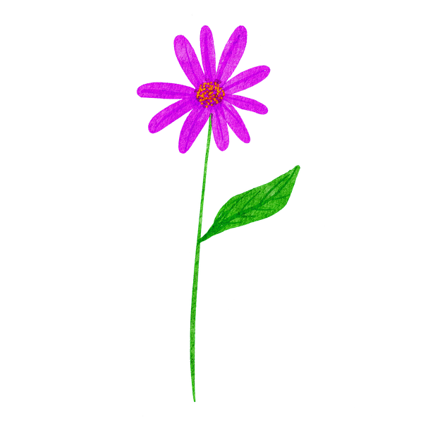 Scrittura e precisione: chiamare le cose con il proprio nome secondo Natalie Goldberg