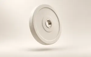 Matte ivory weight plate with a brushed metal center floating above a soft cream background with a subtle studio shadow.